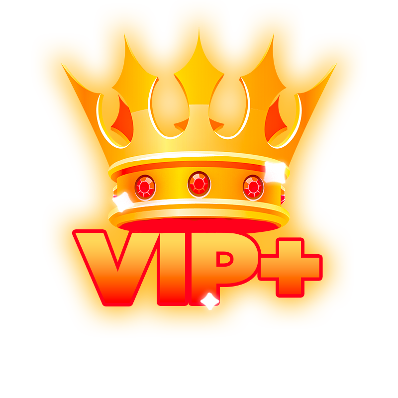 VIP+ - PERMANENT